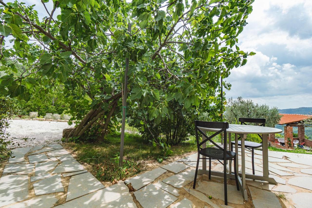 Agriturismo Le Fonti Pontassieve Eksteriør bilde